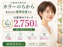 カラーのちから 西尾寄住店
