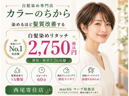 カラーのちから 西尾寄住店の写真
