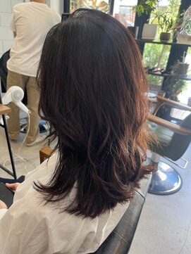 アルゴ 茅ヶ崎(ARUGO) ロング × カシスカラー