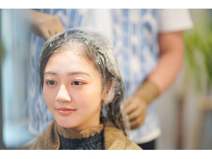 コットン(Cotton)の写真
