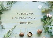 【オーガニックカラー】