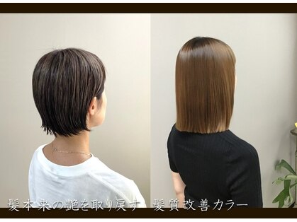 クロニクル(chronicle)の写真