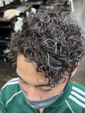 シャルトルーズ(Chart Reuse) men'sオーダーNo.１　シルバーメッシュ