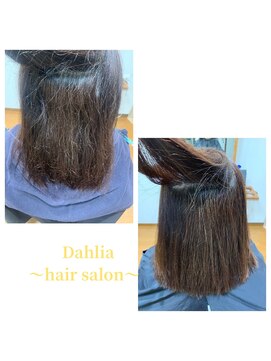 ダリア(Dahlia) 酸性ストレート