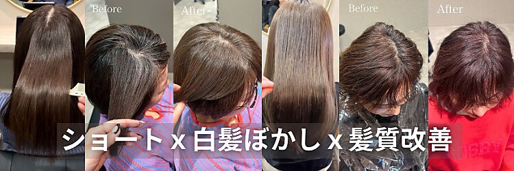 ミルシェ(MILSHE)のサロンヘッダー