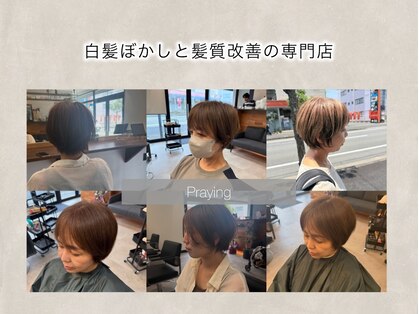プレイング(Praying)の写真