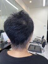 レヴィア(Revia)&nbsp;グレーヘアアレンジ　ブラックブルー&シルバー