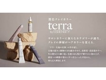 コス(kos)の雰囲気（大地の恵みと植物の力を融合させた、優しいクレイカラーterra）