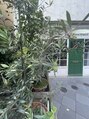 グリーンポルタ(Green Porta)&nbsp;植物のお世話は毎朝の日課♪　サロンすべての植物を管理！