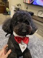 ワークスヘアー(WORKS HAIR)&nbsp;愛犬のカットは、昔チャレンジしましたがやっぱりプロにお任せ！