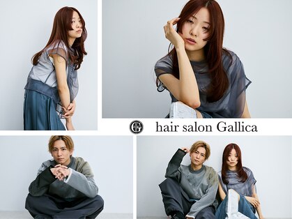 ガリカ 大名(Gallica)の写真