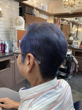 ルピナス 中田(Lupinus) ブルーカラー