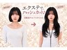 プルエクステで人気のハッシュレイヤー(韓国ウルフデザイン)♪platinum使用