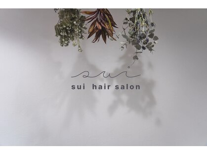 スイ(sui)の写真