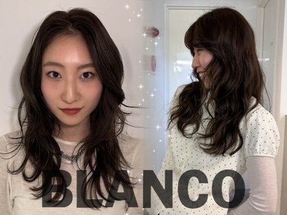 ブランコ 表参道(BLANCO)の写真