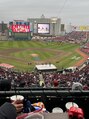 シュガー(Sugar) 野球観戦大好きです(^^)球場で飲むビールがなによりも好きです♪