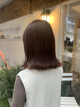 クラシオン(CURACION) red brown