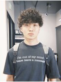 プードルパーマ