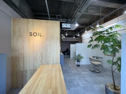 ソイル(SOIL)の写真