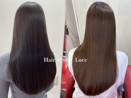 ルーチェ(luce)の写真