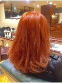 ダブルカラー／オレンジヘアー