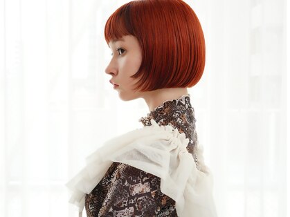 アルテペロ(arte pelo)の写真