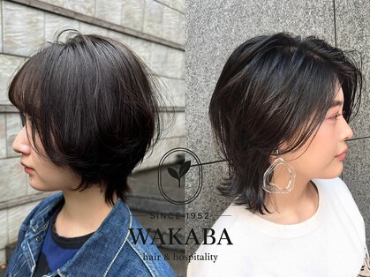 ワカバ(WAKABA)の写真