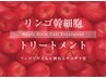 カット＋髪が潤うリンゴ幹細胞ケア　￥8,000→￥6.900　