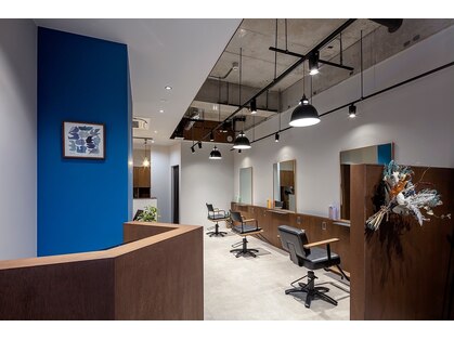 ブルーバード(Blue Bird)の写真