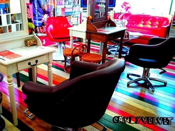 美容室キャンディー ベルベット(Candy Velvet)の写真/≪20周年突破≫特殊系で有名な大須の隠れ家サロン★心地良い空間で、あなただけのスタイルを創ります！