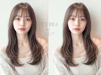 テラバイルヴェール 各務原(TERRA by LeVert)の写真/湿気やダメージによる広がりを抑え、手ぐしだけでまとまる感動の仕上がりに♪セット時間の大幅短縮が可能☆