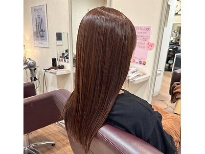 ティエス ジール 本店(TS－ZEAL)の写真