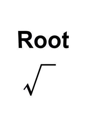 ルート(Root)