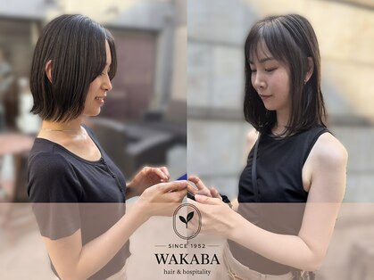 ワカバ(WAKABA)の写真