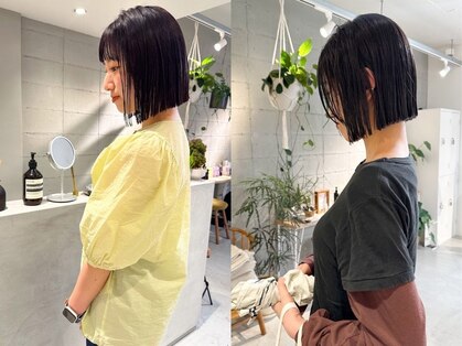 シロ(SHIRO)の写真
