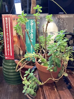 サロン ド アイ ソレイユ(Salon de i Soleil)の写真/少人数制のプライベート空間で、あなただけの時間を。髪のお悩みも相談しやすいのが嬉しいポイント。