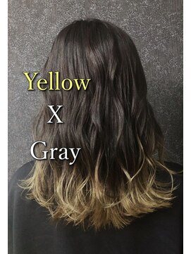 ネリネ(Nerine) テールカラー 裾カラー イエロー