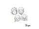 アグラントープ(a Gland taupe)の写真