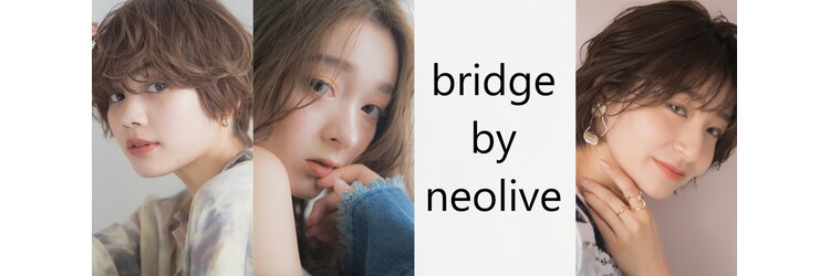 ブリッジ バイ ネオリーブ 綱島店(bridge by neolive)のサロンヘッダー