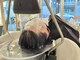 ソラ(sora)の写真/エイジングケアに特化したヘッドスパ・頭浸浴で健康的な頭皮作りをサポートし、至福の癒し時間をご提供♪