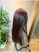 ピンクラベンダー