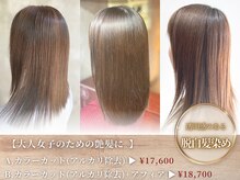 セクション(SECTION)