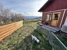 ミア(Mia)の雰囲気（店舗横に貸切ドッグラン☆あなたの愛犬をぜひぜひお連れ下さい☆）