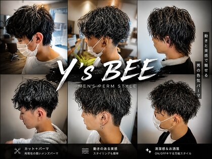 ワイズビー(Y's BEE)の写真