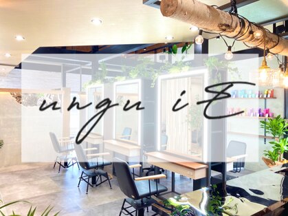 アングゥイー(ungu iE)の写真