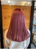 ピンクラベンダー