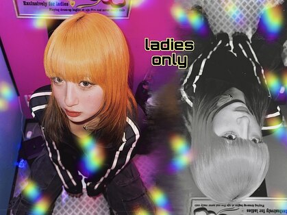 ドール(Doll)の写真