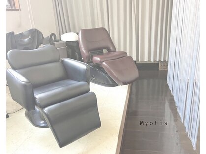 ミオティス(Myotis)の写真
