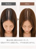 根元リタッチカラー【住之江北加賀屋美容室】リタッチ専門店