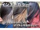 オリノ(olino)の写真